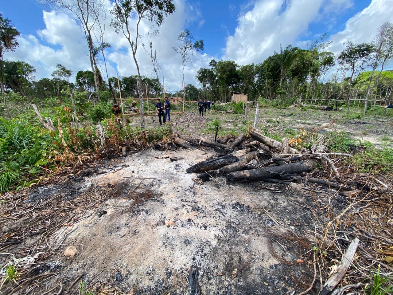 Flagrante: Ação integrada da PMPA, PCPA e órgãos municipais desarticulam crime ambiental em Barcarena