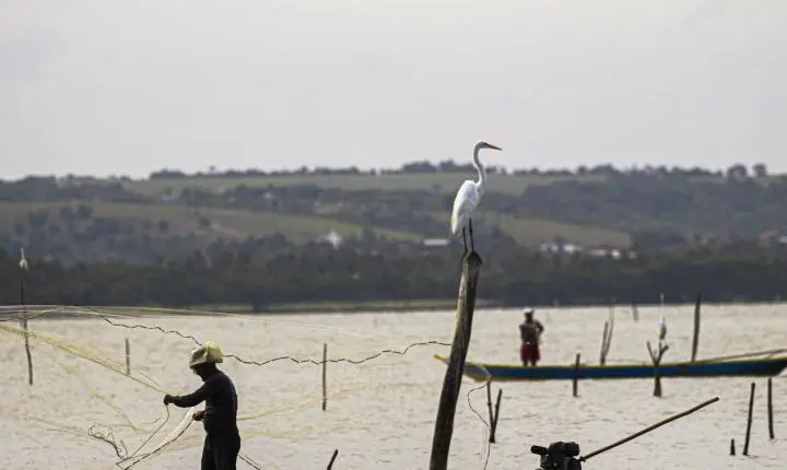 Sexto lote do seguro-defeso será disponibilizado na terça-feira